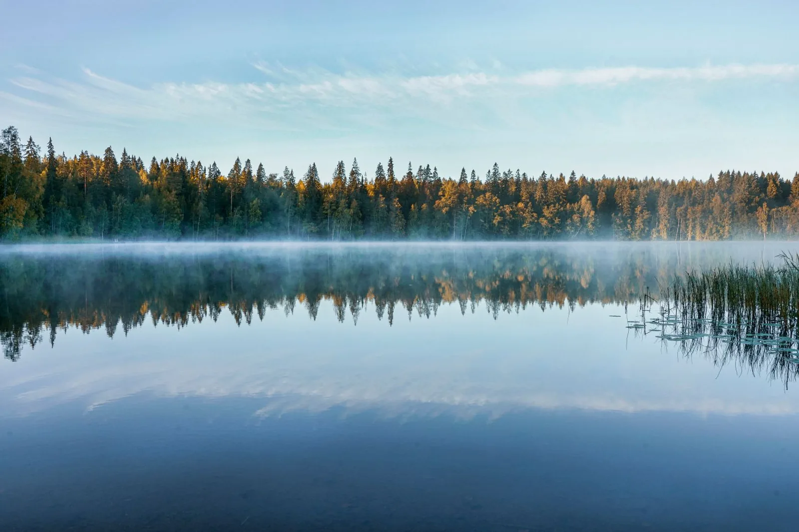 Tyyni järvi heijastaa metsää aamusumussa